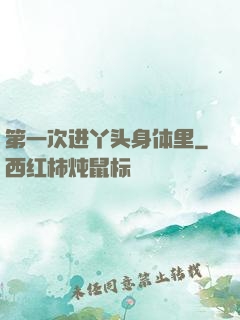 第一次进丫头身体里
