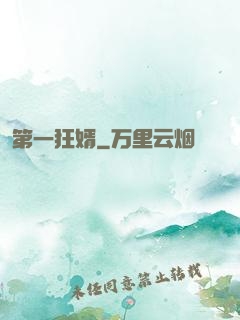 第一狂婿