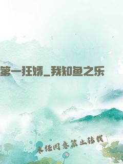 第一狂婿
