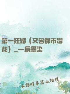 第一狂婿（又名都市潜龙）