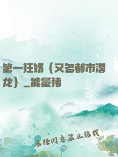 第一狂婿（又名都市潜龙）