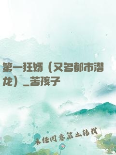 第一狂婿（又名都市潜龙）