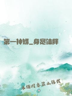 第一神婿