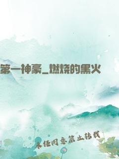 第一神豪