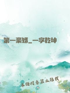 第一豪婿
