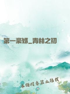 第一豪婿