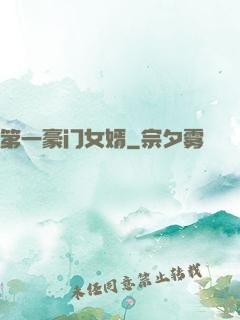 第一豪门女婿