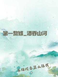 第一赘婿