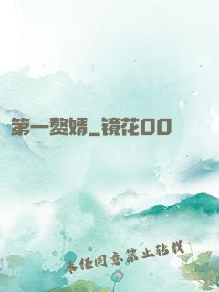 第一赘婿