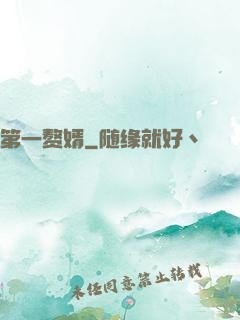 第一赘婿
