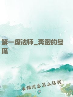 第一魔法师
