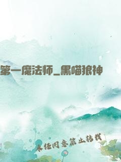 第一魔法师