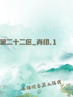 第二十二区
