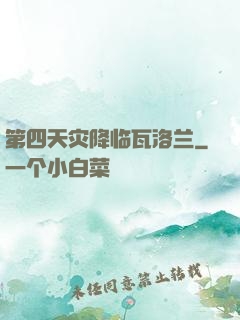 第四天灾降临瓦洛兰