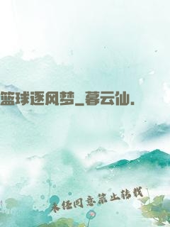 篮球逐风梦