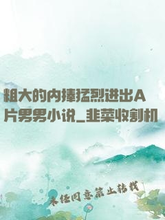 粗大的内捧猛烈进出A片男男小说