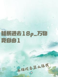 粗暴进去18p