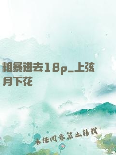 粗暴进去18p
