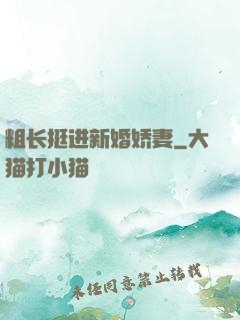 粗长挺进新婚娇妻