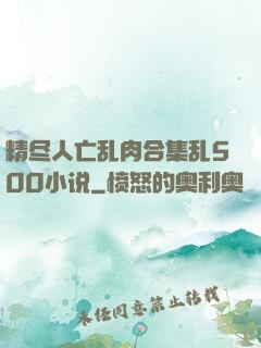 精尽人亡乱肉合集乱500小说