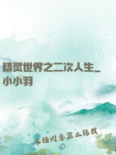 精灵世界之二次人生