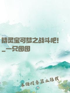 精灵宝可梦之战斗吧！