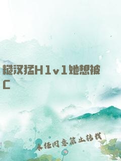 糙汉猛H1v1她想被C