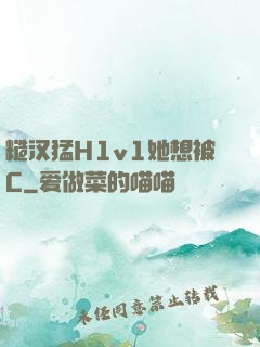 糙汉猛H1v1她想被C