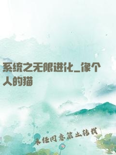 系统之无限进化
