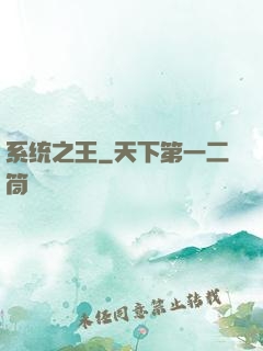 系统之王