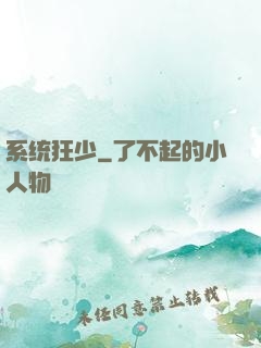 系统狂少