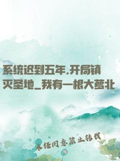 系统迟到五年,开局镇灭圣地