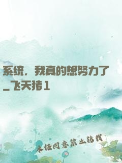 系统，我真的想努力了