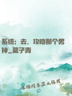 系统：去，攻略那个男神