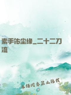 素手佑尘缘