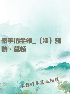 素手佑尘缘