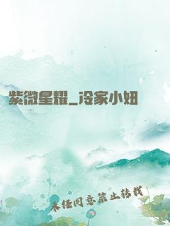 紫微星耀