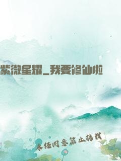 紫微星耀