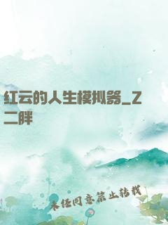 红云的人生模拟器