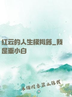红云的人生模拟器
