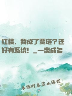 红楼，我成了贾琏？还好有系统！