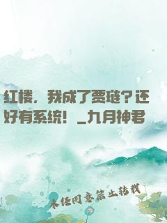 红楼，我成了贾琏？还好有系统！