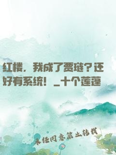红楼，我成了贾琏？还好有系统！