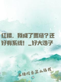 红楼，我成了贾琏？还好有系统！