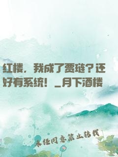 红楼，我成了贾琏？还好有系统！