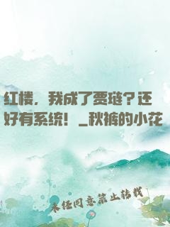 红楼，我成了贾琏？还好有系统！