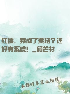 红楼，我成了贾琏？还好有系统！