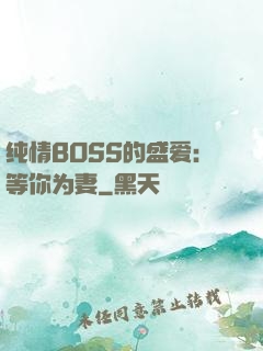 纯情BOSS的盛爱：等你为妻