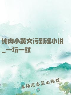 纯肉小黄文污到湿小说