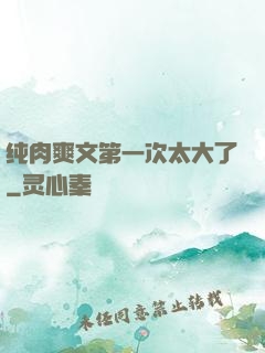 纯肉爽文第一次太大了